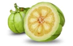 Garcinia Cambogia