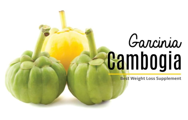 Garcinia Cambogia - co to jest i czy faktycznie odchudza?